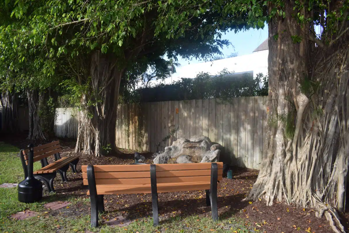 Banyan Boca
