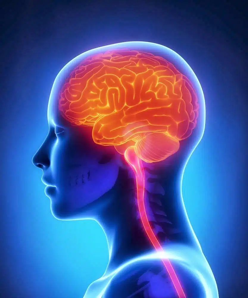 Edgar Pena LMHC CAP and Associates - Hero Image